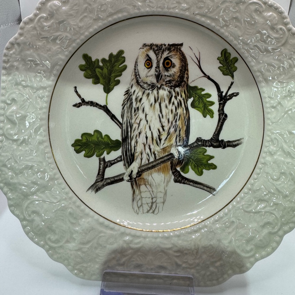 Lord Nelson Pottery Decorative Owl Plate